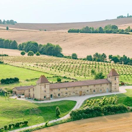 Saint-Sulpice-sur-Leze Escons Domaine De Charme酒店 外观 照片