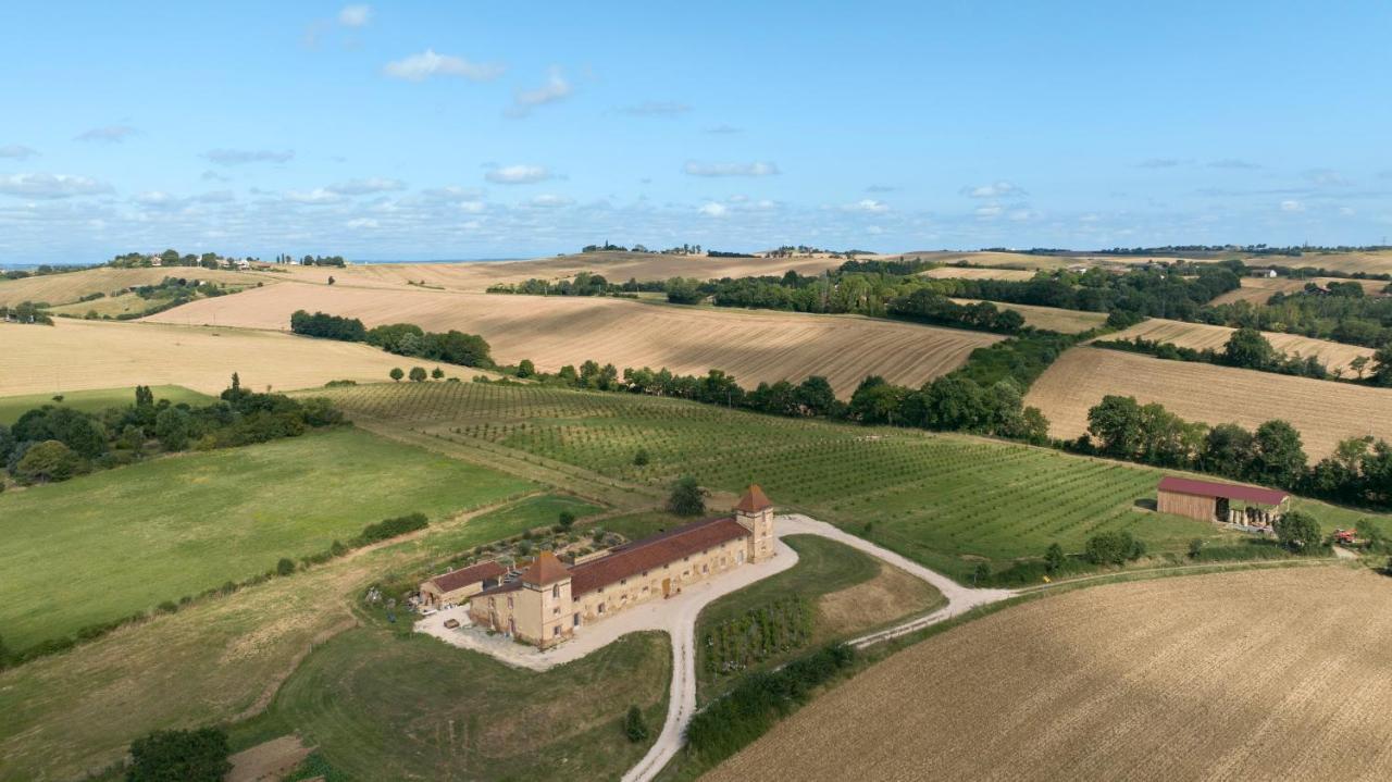 Saint-Sulpice-sur-Leze Escons Domaine De Charme酒店 外观 照片